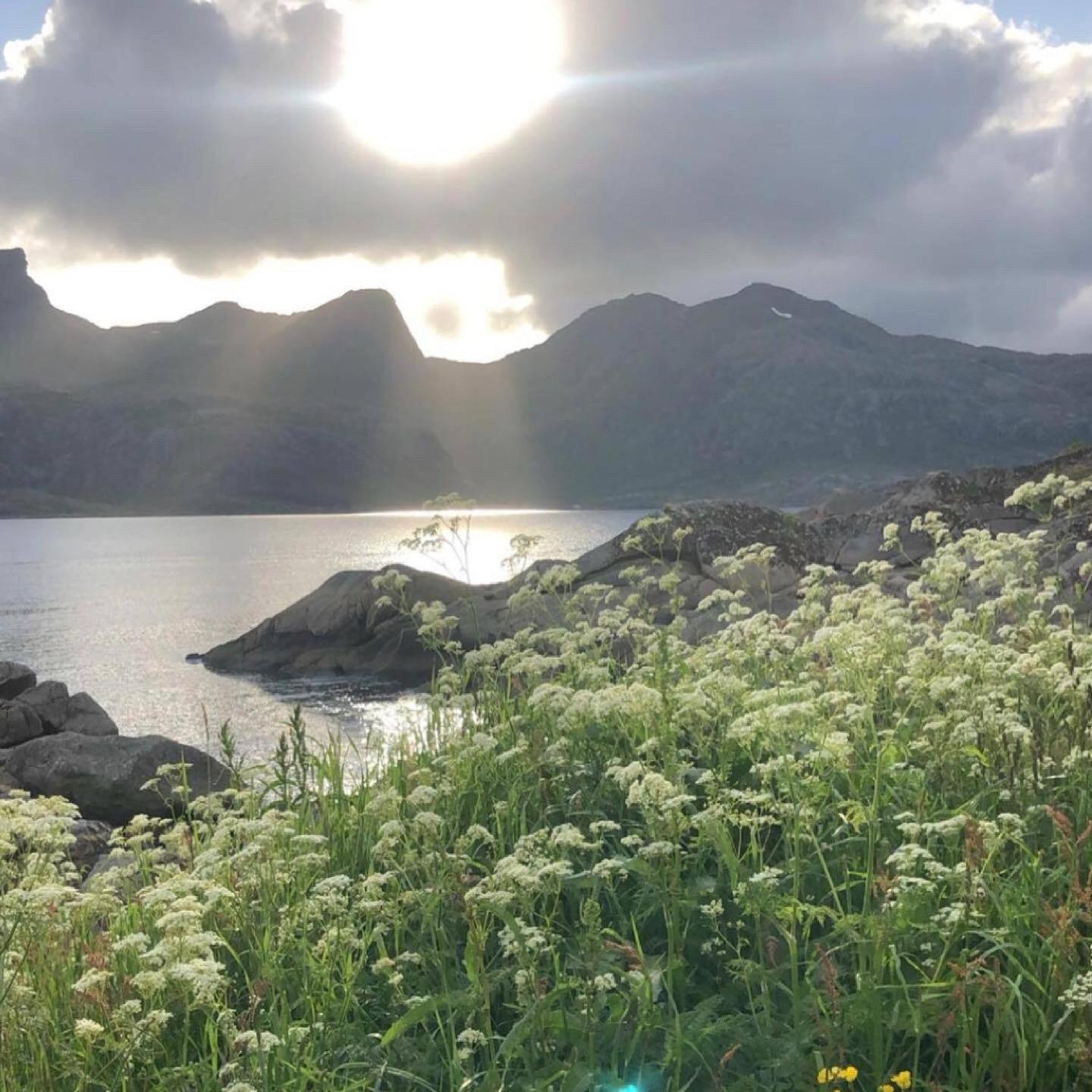 Vettinghytta, Close To The Sea With Amazing View. Gravdal  Exterior foto